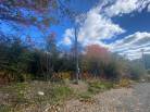 4 - Lot and land for sale, Saint-Siméon (Code - ss074, Charlevoix)
