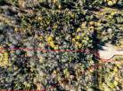 2 - Lot and land for sale, La Malbaie (Code - mb416, Charlevoix)