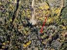7 - Lot and land for sale, La Malbaie (Code - mb416, Charlevoix)