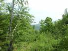 1 - Terrain et terre à vendre, Petite-Rivière-Saint-François (Code - pr812, Charlevoix)