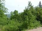 4 - Terrain et terre à vendre, Petite-Rivière-Saint-François (Code - pr812, Charlevoix)