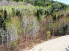 2 - Terrain et terre à vendre, Petite-Rivière-Saint-François (Code - pr818, Charlevoix)