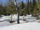14 - Terrain et terre à vendre, Baie-Saint-Paul (Code - sp924, Charlevoix)