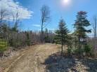 4 - Lot and land for sale, Les Éboulements (Code - eb335, Charlevoix)