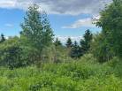 5 - Terrain et terre à vendre, Petite-Rivière-Saint-François (Code - pr857, Charlevoix)
