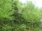 6 - Terrain et terre à vendre, Petite-Rivière-Saint-François (Code - pr815, Charlevoix)