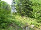 8 - Terrain et terre à vendre, Petite-Rivière-Saint-François (Code - pr815, Charlevoix)