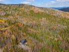43 - House for sale, Petite-Rivière-Saint-François (Code - pr810, Charlevoix)