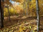 6 - Lot and land for sale, Baie-Saint-Paul (Code - sp908, Charlevoix)