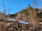 12 - Terrain et terre à vendre, Les Éboulements (Code - eb284, Charlevoix)