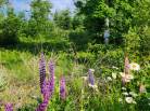 9 - Terrain et terre à vendre, Les Éboulements (Code - eb284, Charlevoix)