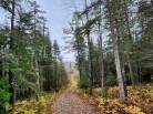 2 - Terrain et terre à vendre, Saint-Aimé-des-Lacs (Code - sal036, Charlevoix)