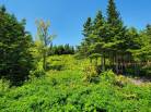 9 - Terrain et terre à vendre, Les Éboulements (Code - eb282, Charlevoix)