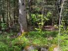 39 - Maison à vendre, La Malbaie (Code - mb410, Charlevoix)