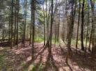 40 - Maison à vendre, La Malbaie (Code - mb410, Charlevoix)