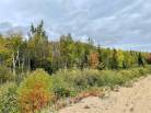 3 - Lot and land for sale, Petite-Rivière-Saint-François (Code - pr825, Charlevoix)
