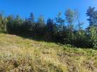 10 - Lot and land for sale, Les Éboulements (Code - eb310, Charlevoix)