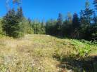 11 - Lot and land for sale, Les Éboulements (Code - eb310, Charlevoix)