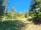 12 - Lot and land for sale, Les Éboulements (Code - eb310, Charlevoix)