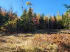 14 - Terrain et terre à vendre, Les Éboulements (Code - eb310, Charlevoix)