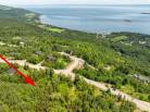 2 - Terrain et terre à vendre, Les Éboulements (Code - eb310, Charlevoix)