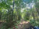 11 - Terrain et terre à vendre, Saint-Siméon (Code - ss070, Charlevoix)