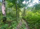 13 - Terrain et terre à vendre, Saint-Siméon (Code - ss070, Charlevoix)
