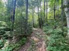 6 - Terrain et terre à vendre, Saint-Siméon (Code - ss070, Charlevoix)