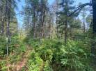 7 - Terrain et terre à vendre, Saint-Siméon (Code - ss070, Charlevoix)
