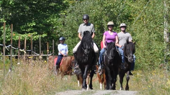 Centre d'équitation Jacques Robidas