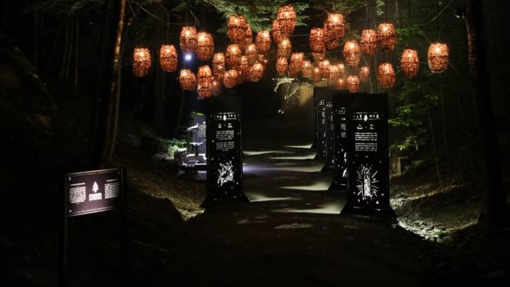 Foresta Lumina