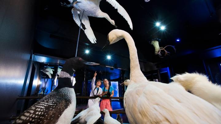Musée de la nature et des sciences