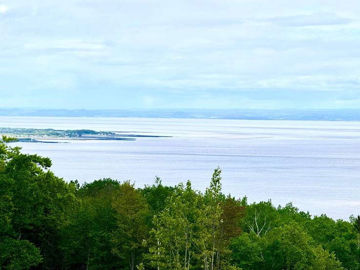 Terrain et terre à vendre - Petite-Rivière-Saint-François, Charlevoix (PR811)