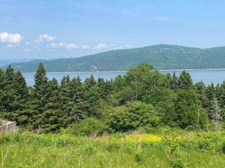 Terrain et terre à vendre - L'Isle-aux-Coudres, Charlevoix (IC042)