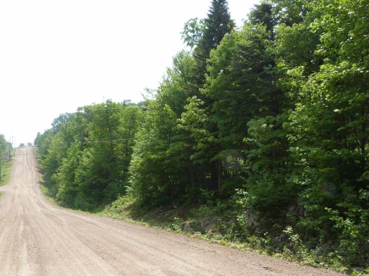 Terrain et terre à vendre - Petite-Rivière-Saint-François, Charlevoix (PR815)