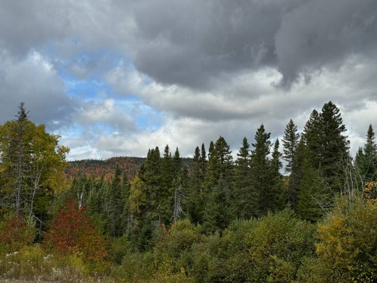 Terrain et terre à vendre - Petite-Rivière-Saint-François, Charlevoix (PR828)