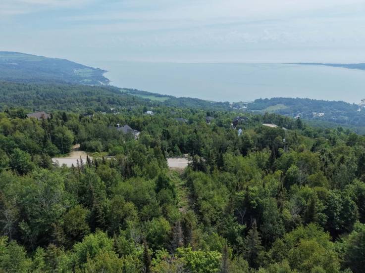 Terrain et terre à vendre - Les Éboulements, Charlevoix (EB325)