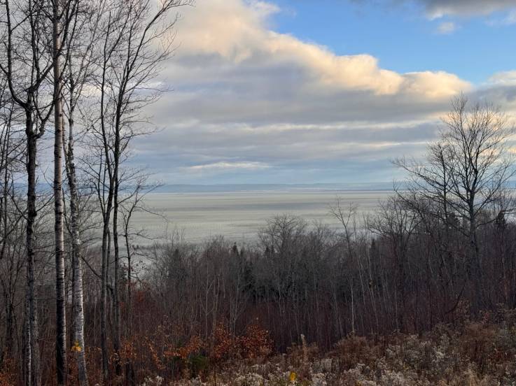 Lot and land for sale - Petite-Rivière-Saint-François, Charlevoix (PR837)