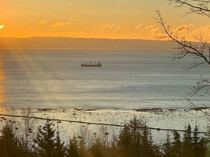 House for sale - Petite-Rivière-Saint-François, Charlevoix (PR842)