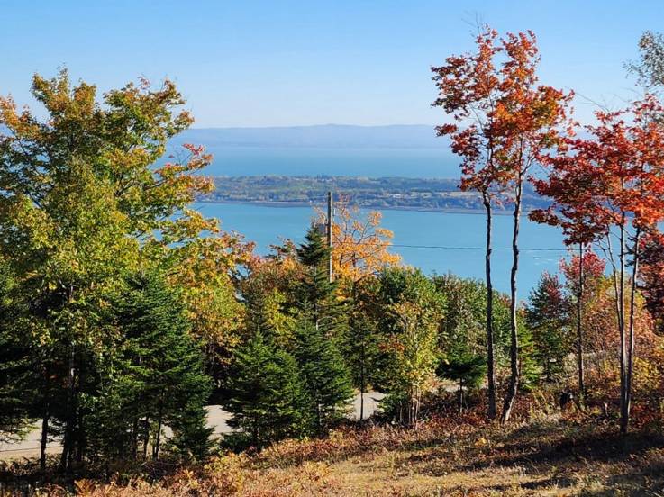 Terrain et terre à vendre - Les Éboulements, Charlevoix (EB310)