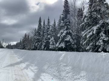 Terrain et terre à vendre - Petite-Rivière-Saint-François, Charlevoix (PR762)