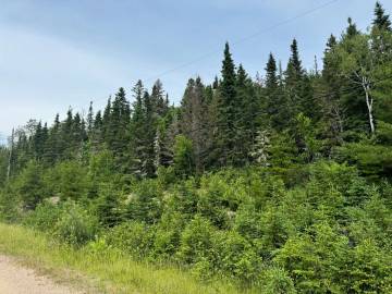 Terrain et terre à vendre - Les Éboulements, Charlevoix (EB293)
