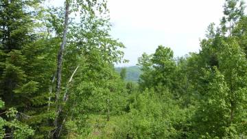 Terrain et terre à vendre - Petite-Rivière-Saint-François, Charlevoix (PR812)