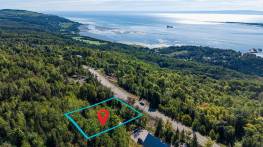 Details - Lot and land for sale (Code EB321)