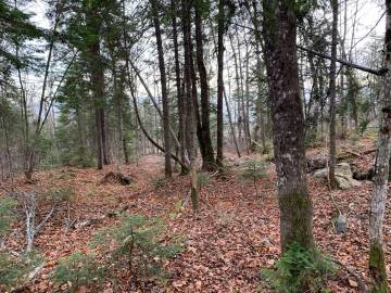 Terrain et terre à vendre - Petite-Rivière-Saint-François, Charlevoix (PR817)