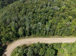 Details - Lot and land for sale (Code PR860)