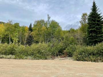 Terrain et terre à vendre - Petite-Rivière-Saint-François, Charlevoix (PR795)