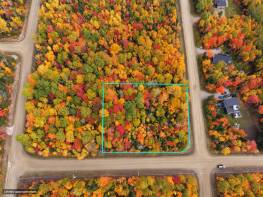 Details - Lot and land for sale (Code PR864)