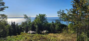 Terrain et terre à vendre - Les Éboulements, Charlevoix (EB310)