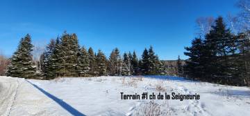 Terrain et terre à vendre - Les Éboulements, Charlevoix (EB303)